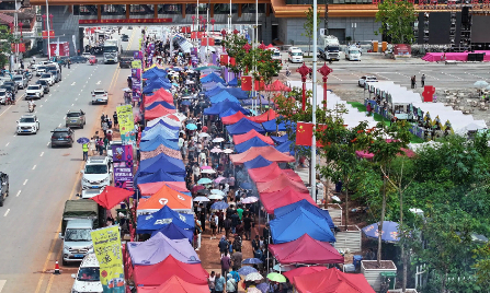张朴所获“2023年度云南十大法