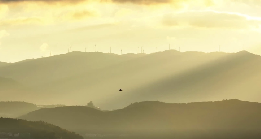 云南体职院科学培养体系锻造竞技体