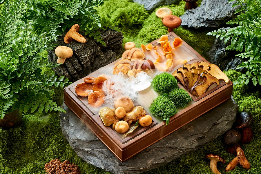 从山野到餐桌 一锅云南菌汤的标准