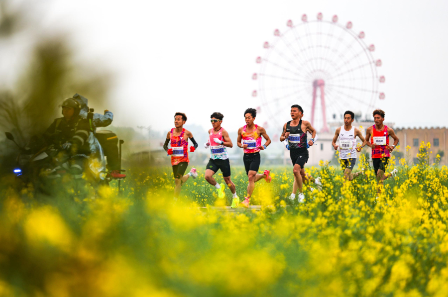 从古城到花海，马拉松连接起中泰友