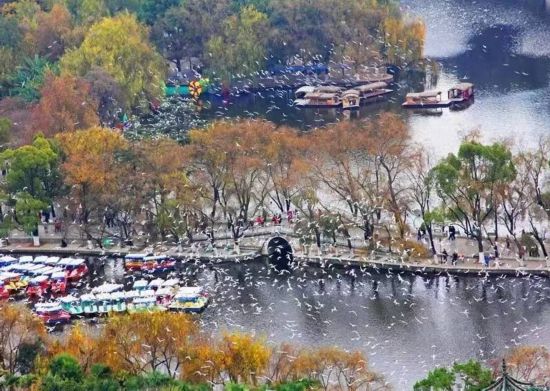 微信图片_20230402213816.jpg?x-oss-process=style/w10