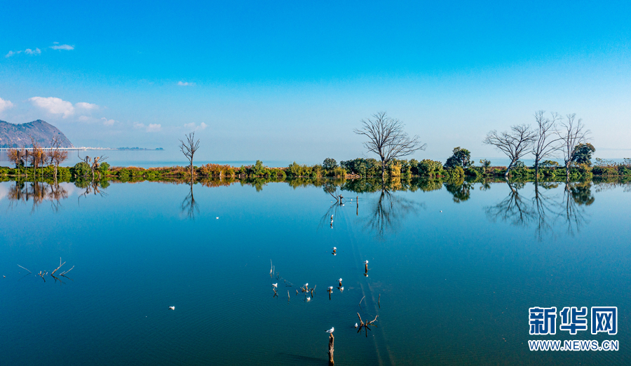 从云霞”映滇池和台儿庄运河看湿地之美
