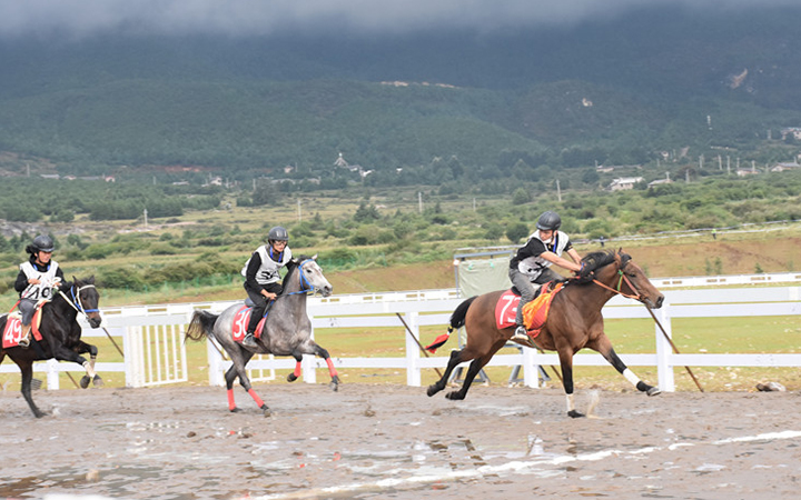 云南省第十二届民族运动会赛马竞技展风采