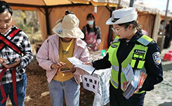 保山银杏村：旅游“黄金道”亦是平安出行道