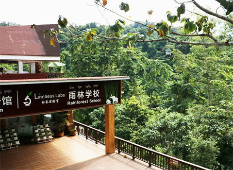 COP15｜云南西双版纳：打造雨林学校 科普助力生物多样性保护