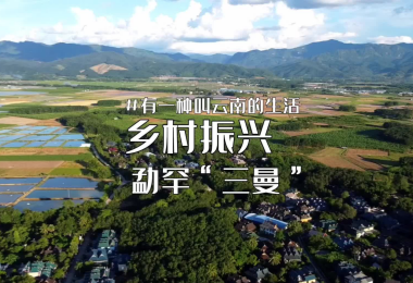 &ldquo;我爱西双版纳&rdquo;短视频大赛投稿作品展示丨《乡村振兴 勐罕&ldquo;三曼&rdquo;》