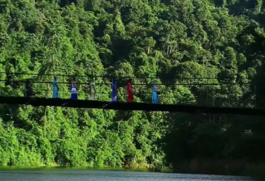 &ldquo;我爱西双版纳&rdquo;短视频大赛投稿作品展示丨《热带雨林的奇幻之旅》