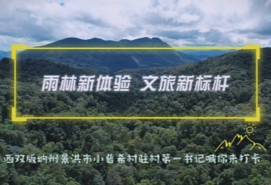 &ldquo;我爱西双版纳&rdquo;短视频大赛投稿作品展示丨《【第一书记喊你来打卡】赴一场雨林奇妙之约》