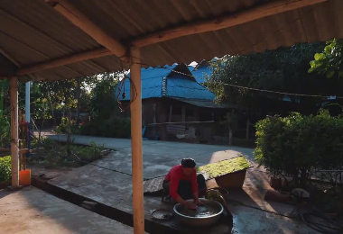 &ldquo;我爱西双版纳&rdquo;短视频大赛投稿作品展示丨《傣家传统美味：青苔》