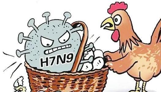 如何预防人感染H7N9禽流感？