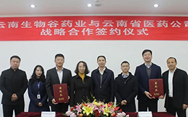 昆明高新企业云南生物谷药业与云南省医药公司签署战略合作协议